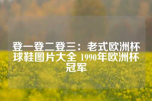 登一登二登三：老式欧洲杯球鞋图片大全 1990年欧洲杯冠军