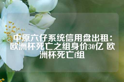 中原六仔系统信用盘出租：欧洲杯死亡之组身价30亿 欧洲杯死亡f组-第1张图片-皇冠信用盘出租