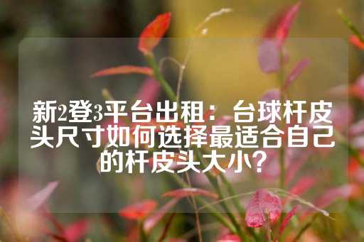 新2登3平台出租：台球杆皮头尺寸如何选择最适合自己的杆皮头大小？