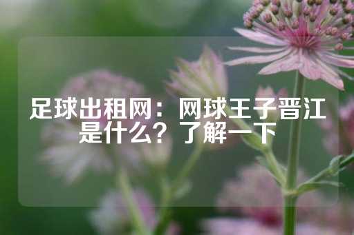 足球出租网：网球王子晋江是什么？了解一下