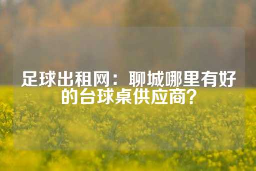 足球出租网：聊城哪里有好的台球桌供应商？