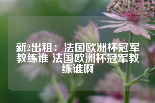 新2出租：法国欧洲杯冠军教练谁 法国欧洲杯冠军教练谁啊