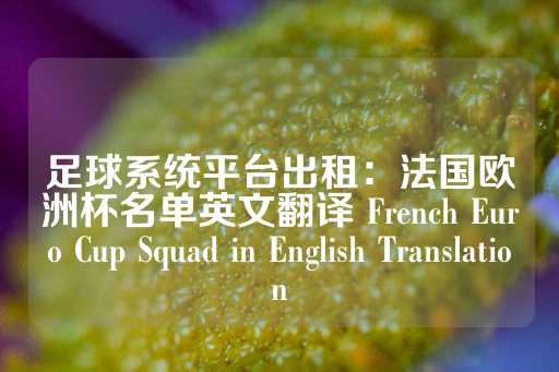 足球系统平台出租：法国欧洲杯名单英文翻译 French Euro Cup Squad in English Translation