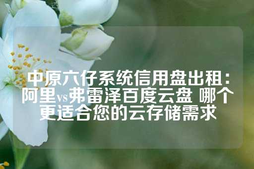 中原六仔系统信用盘出租：阿里vs弗雷泽百度云盘 哪个更适合您的云存储需求