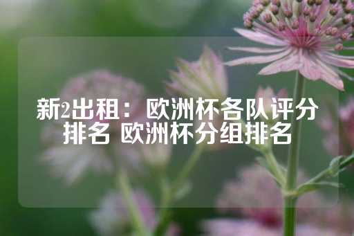 新2出租：欧洲杯各队评分排名 欧洲杯分组排名