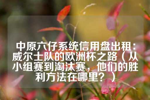 中原六仔系统信用盘出租：威尔士队的欧洲杯之路（从小组赛到淘汰赛，他们的胜利方法在哪里？）