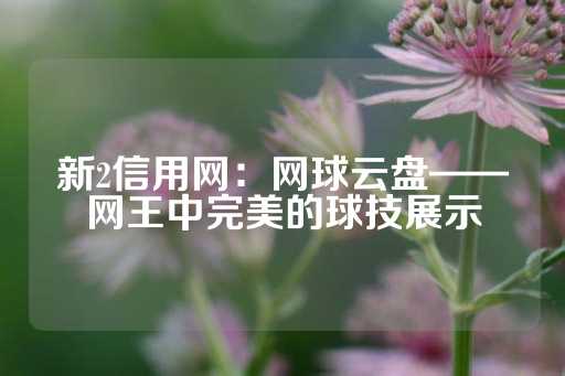 新2信用网：网球云盘——网王中完美的球技展示