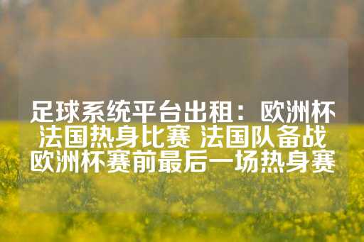 足球系统平台出租：欧洲杯法国热身比赛 法国队备战欧洲杯赛前最后一场热身赛