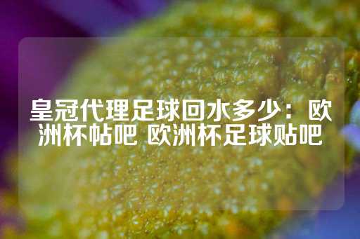 皇冠代理足球回水多少：欧洲杯帖吧 欧洲杯足球贴吧