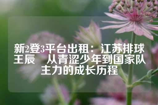 新2登3平台出租：江苏排球王辰玥从青涩少年到国家队主力的成长历程