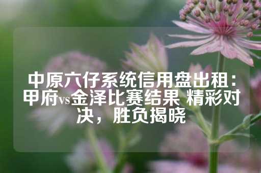 中原六仔系统信用盘出租：甲府vs金泽比赛结果 精彩对决，胜负揭晓