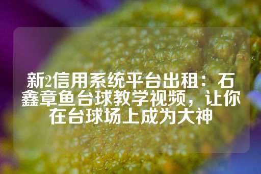 新2信用系统平台出租：石鑫章鱼台球教学视频，让你在台球场上成为大神