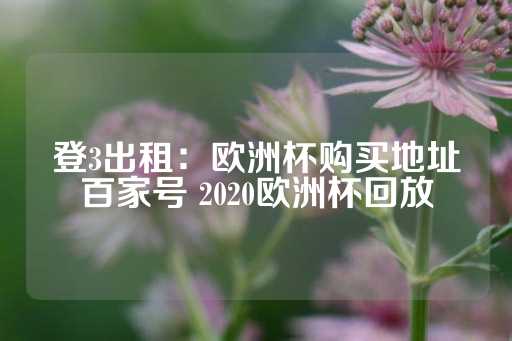 登3出租：欧洲杯购买地址百家号 2020欧洲杯回放-第1张图片-皇冠信用盘出租