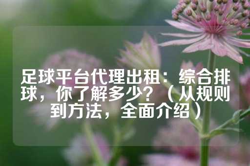 足球平台代理出租：综合排球，你了解多少？（从规则到方法，全面介绍）