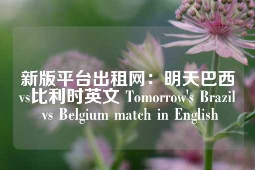 新版平台出租网：明天巴西vs比利时英文 Tomorrow's Brazil vs Belgium match in English