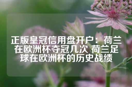 正版皇冠信用盘开户：荷兰在欧洲杯夺冠几次 荷兰足球在欧洲杯的历史战绩-第1张图片-皇冠信用盘出租