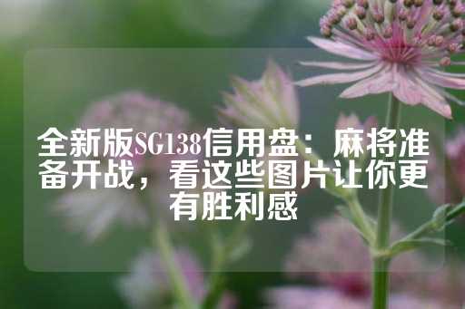 全新版SG138信用盘：麻将准备开战，看这些图片让你更有胜利感