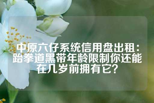 中原六仔系统信用盘出租：跆拳道黑带年龄限制你还能在几岁前拥有它？