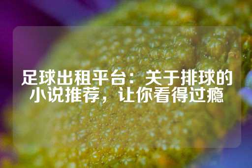 足球出租平台：关于排球的小说推荐，让你看得过瘾