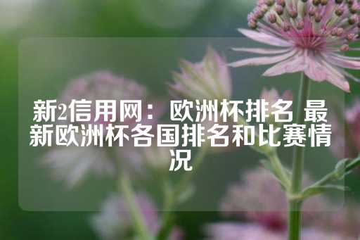 新2信用网：欧洲杯排名 最新欧洲杯各国排名和比赛情况-第1张图片-皇冠信用盘出租