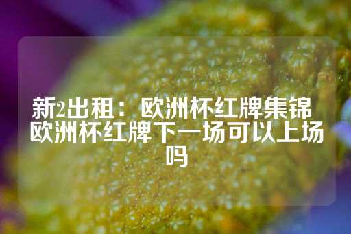 新2出租：欧洲杯红牌集锦 欧洲杯红牌下一场可以上场吗