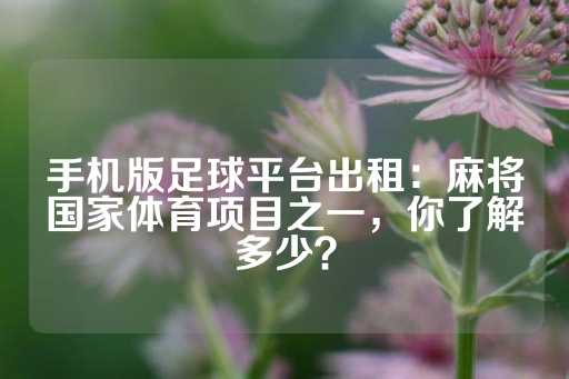 手机版足球平台出租：麻将国家体育项目之一，你了解多少？