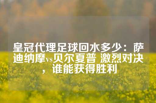 皇冠代理足球回水多少：萨迪纳摩vs贝尔夏普 激烈对决，谁能获得胜利-第1张图片-皇冠信用盘出租