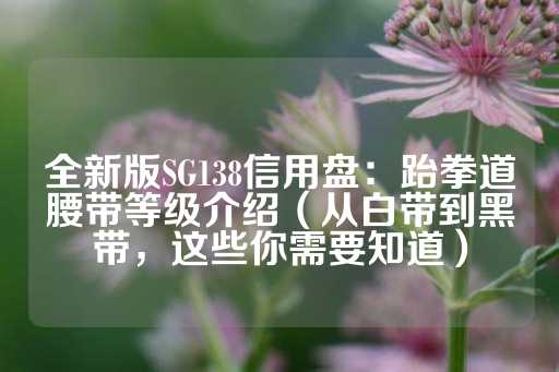 全新版SG138信用盘：跆拳道腰带等级介绍（从白带到黑带，这些你需要知道）