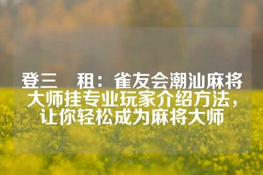 登三岀租：雀友会潮汕麻将大师挂专业玩家介绍方法，让你轻松成为麻将大师