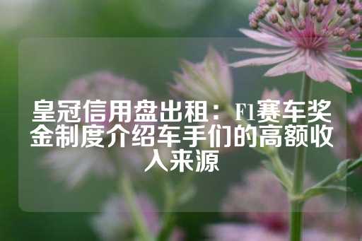 皇冠信用盘出租：F1赛车奖金制度介绍车手们的高额收入来源-第1张图片-皇冠信用盘出租