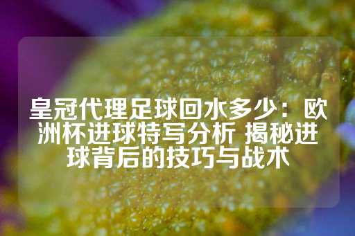 皇冠代理足球回水多少：欧洲杯进球特写分析 揭秘进球背后的技巧与战术