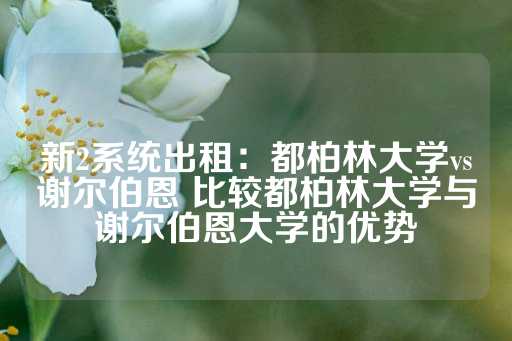 新2系统出租：都柏林大学vs谢尔伯恩 比较都柏林大学与谢尔伯恩大学的优势