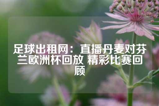 足球出租网：直播丹麦对芬兰欧洲杯回放 精彩比赛回顾