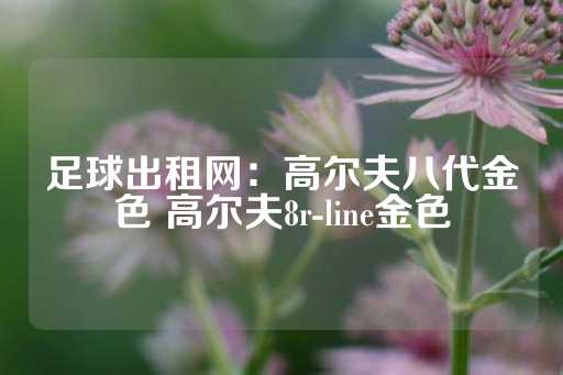 足球出租网：高尔夫八代金色 高尔夫8r-line金色