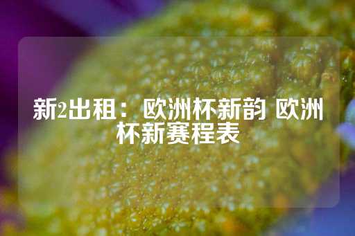 新2出租：欧洲杯新韵 欧洲杯新赛程表