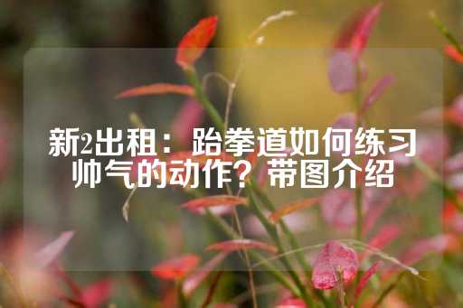 新2出租：跆拳道如何练习帅气的动作？带图介绍-第1张图片-皇冠信用盘出租