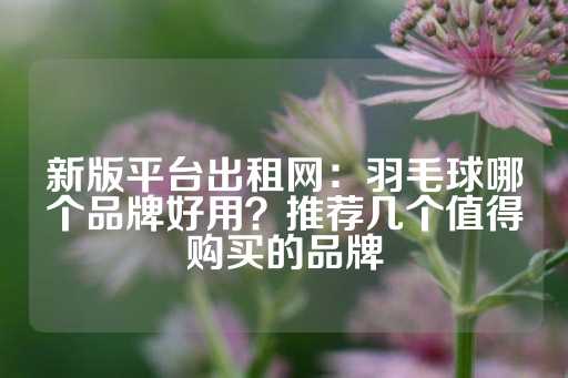 新版平台出租网：羽毛球哪个品牌好用？推荐几个值得购买的品牌