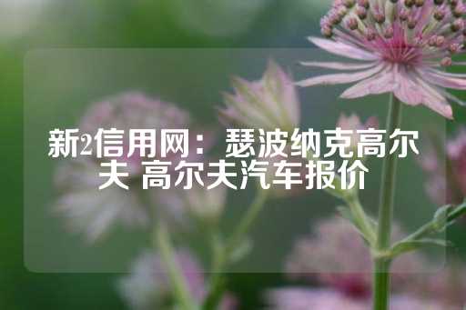 新2信用网：瑟波纳克高尔夫 高尔夫汽车报价-第1张图片-皇冠信用盘出租