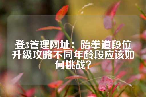 登3管理网址：跆拳道段位升级攻略不同年龄段应该如何挑战？