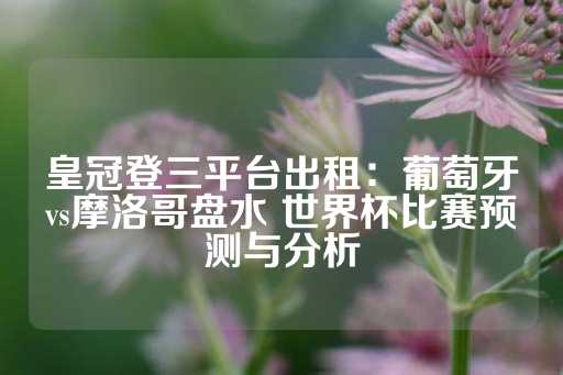 皇冠登三平台出租：葡萄牙vs摩洛哥盘水 世界杯比赛预测与分析