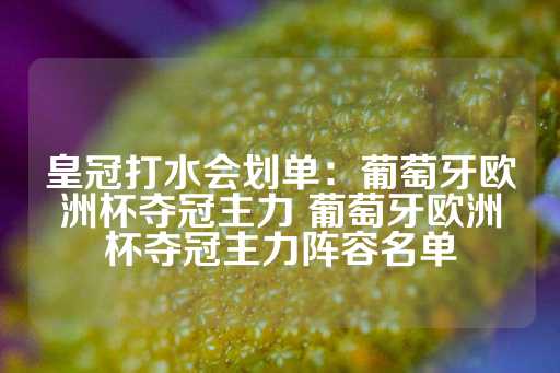 皇冠打水会划单：葡萄牙欧洲杯夺冠主力 葡萄牙欧洲杯夺冠主力阵容名单