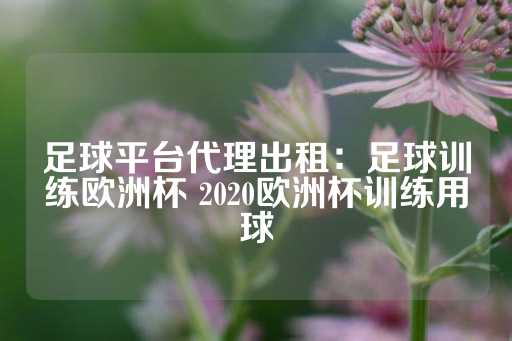 足球平台代理出租：足球训练欧洲杯 2020欧洲杯训练用球