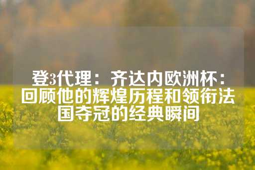 登3代理：齐达内欧洲杯：回顾他的辉煌历程和领衔法国夺冠的经典瞬间