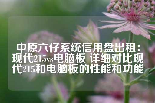 中原六仔系统信用盘出租：现代215vs电脑板 详细对比现代215和电脑板的性能和功能