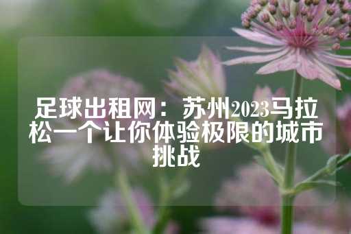 足球出租网：苏州2023马拉松一个让你体验极限的城市挑战