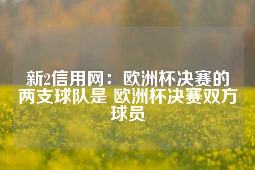 新2信用网：欧洲杯决赛的两支球队是 欧洲杯决赛双方球员