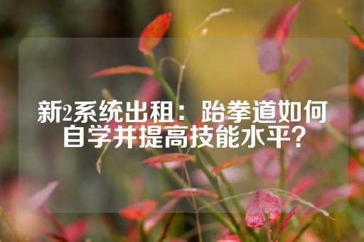 新2系统出租：跆拳道如何自学并提高技能水平？