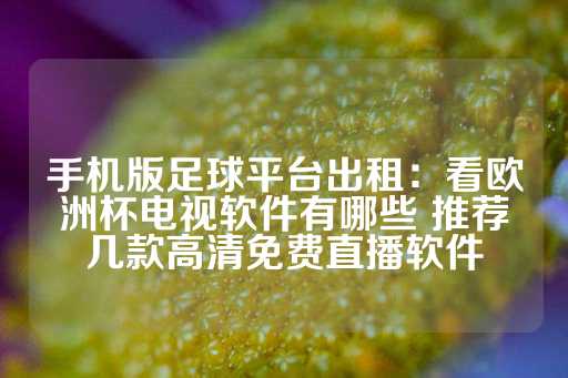 手机版足球平台出租：看欧洲杯电视软件有哪些 推荐几款高清免费直播软件-第1张图片-皇冠信用盘出租