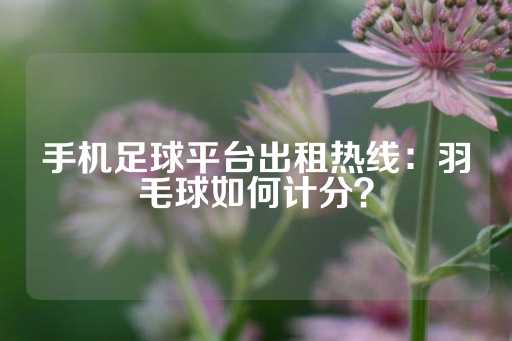 手机足球平台出租热线：羽毛球如何计分？