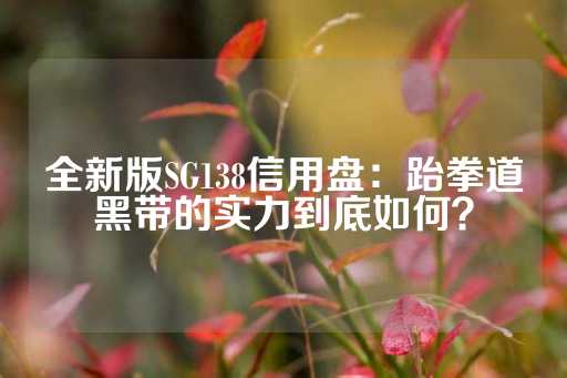 全新版SG138信用盘：跆拳道黑带的实力到底如何？-第1张图片-皇冠信用盘出租